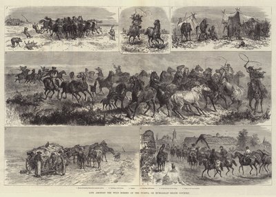 Życie wśród dzikich koni Puszty, czyli Węgierskiego Wrzosowiska autorstwa Johann Nepomuk Schonberg