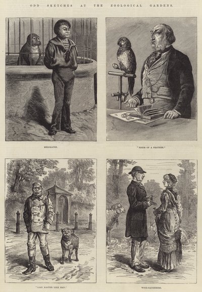 Dziwne szkice w ogrodach zoologicznych autorstwa Johann Nepomuk Schonberg