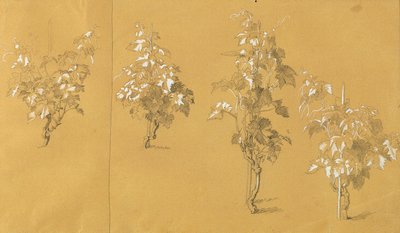 Weinstock, Studium do „Hermanna i Dorothei w winnicy” autorstwa Johann Peter Krafft