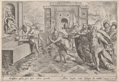 Plaga szarańczy, c.1585. autorstwa Johann Sadeler I