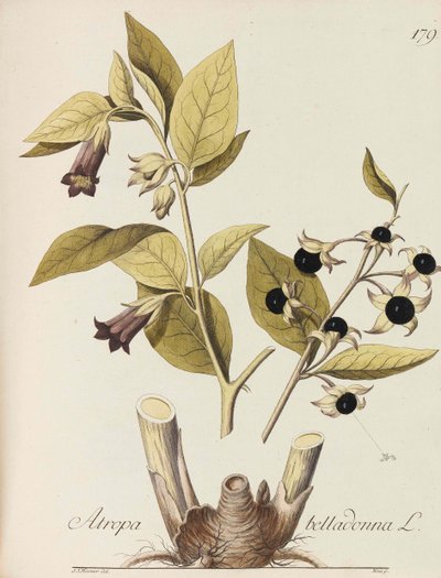Ilustracja wszystkich zakładów gospodarczych, 1786-1788. autorstwa Johann Simon von Kerner