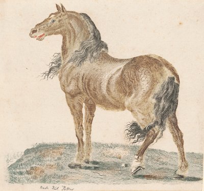 Neighing Horse, lata 90. XVII wieku. autorstwa Johann Teyler