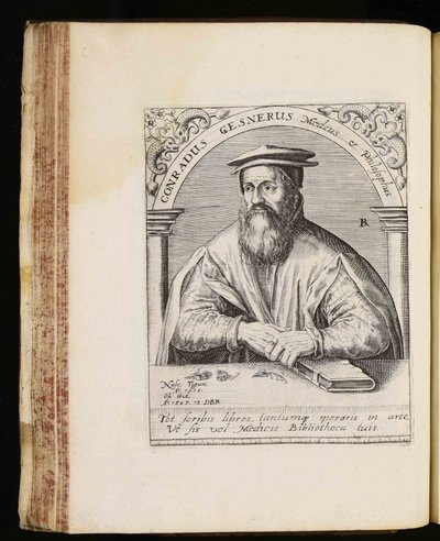 Conrad Gessner autorstwa Johann Theodor de Bry
