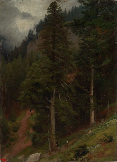 Zbocze w lesie jodłowym autorstwa Johann Wilhelm Schirmer
