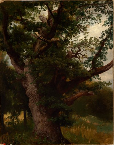  autorstwa Johann Wilhelm Schirmer