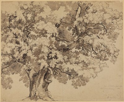  autorstwa Johann Wilhelm Schirmer