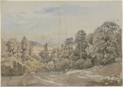Las z dalekim widokiem autorstwa Johann Wilhelm Schirmer
