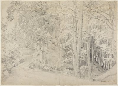 W lesie bukowym autorstwa Johann Wilhelm Schirmer