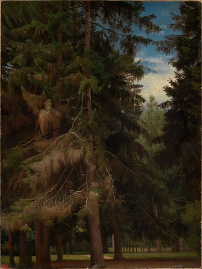  autorstwa Johann Wilhelm Schirmer