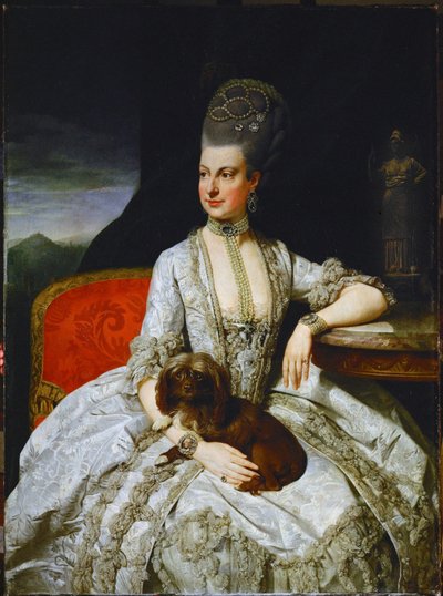 Arcyksiężna Maria Krystyna, córka cesarzowej Marii Teresy ... (olej na płótnie) autorstwa Johann Zoffany