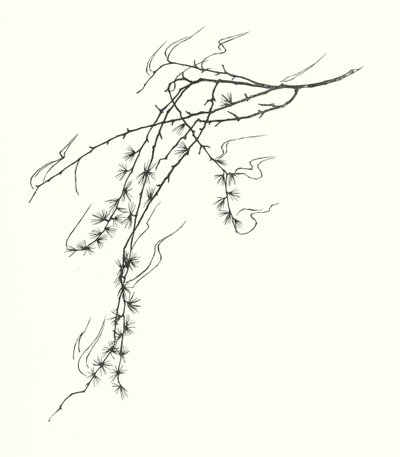 Sylwetka Johanny Beckmann (litografia) autorstwa Johanna Beckmann