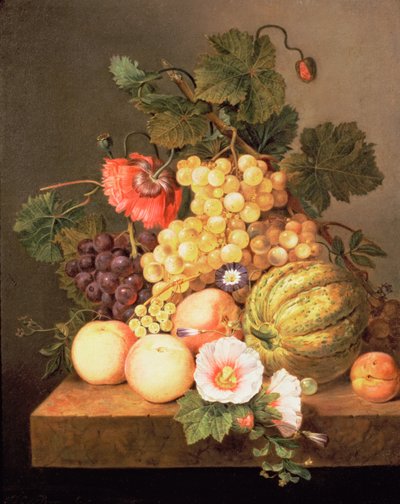 Martwa natura z owocami autorstwa Johannes Cornelis Bruyn