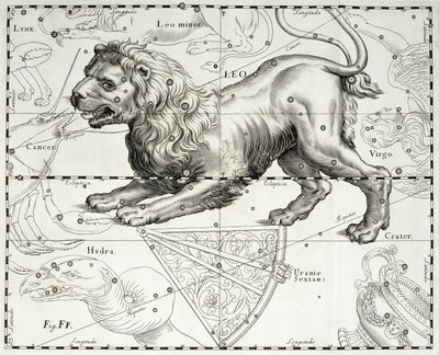 Lew, zodiakalna konstelacja Lwa, ilustracja zaczerpnięta z atlasu gwiazd Jana Heweliusza (1611-1687) Firmamentum Sobiescianum sive Uranographia, Gdańsk autorstwa Johannes Hevelius