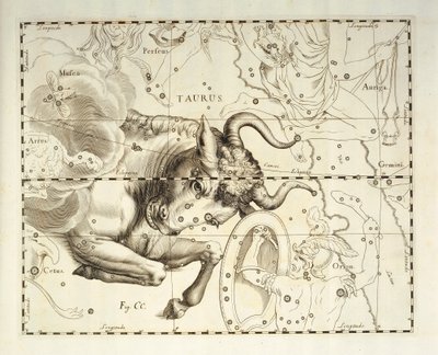 Byk, konstelacja Byka, rycina z atlasu niebieskiego Firmamentum Sobiescianum sive Uronographia, autorstwa Jana Heweliusza (1611-1687), Gdańsk autorstwa Johannes Hevelius