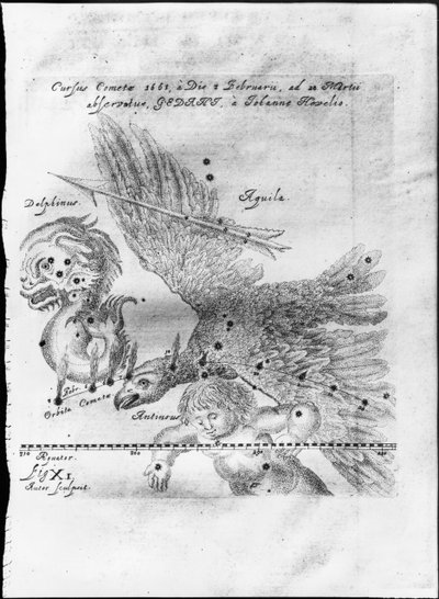 Kometa odkryta i obserwowana przez Jana Heweliusza od 3 lutego do 28 marca 1661 w Gdańsku autorstwa Johannes Hevelius
