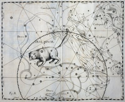 Ursa Minor, Borealna konstelacja Ursa Minor, rycina z atlasu niebieskiego Firmamentum Sobiescianum sive Uronographia, autorstwa Jana Heweliusza (1611-1687), Gdańsk autorstwa Johannes Hevelius