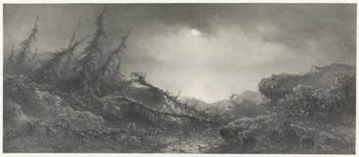 de Storm autorstwa Johannes Hilverdink