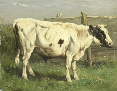 Młody byk autorstwa Johannes Hubertus Leonardus de Haas