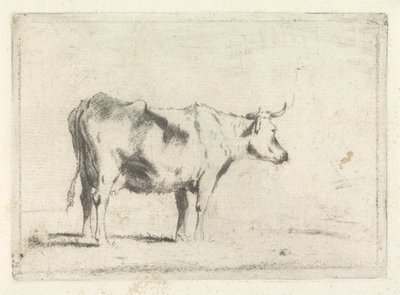 Krowa, w prawo autorstwa Johannes Janson (possibly)