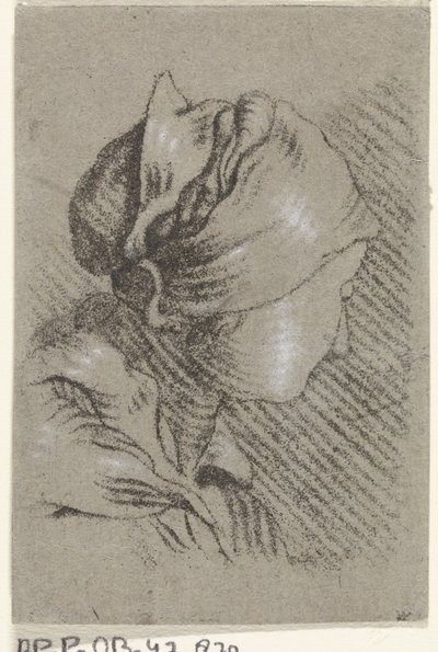 kobiecy biust autorstwa Johannes Janson (possibly)