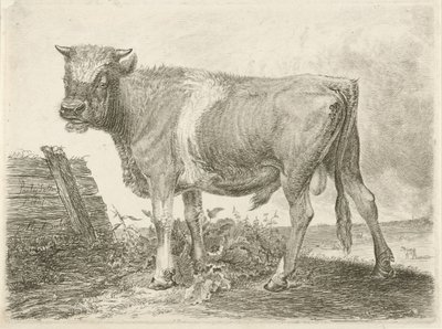 Szlaki autorstwa Johannes Mock