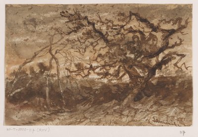 Drzewo o zachodzie słońca autorstwa Johannes Tavenraat (signed by artist)