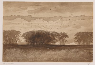 Rookery w Brabancji Północnej autorstwa Johannes Tavenraat (signed by artist)