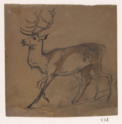 Hert autorstwa Johannes Tavenraat