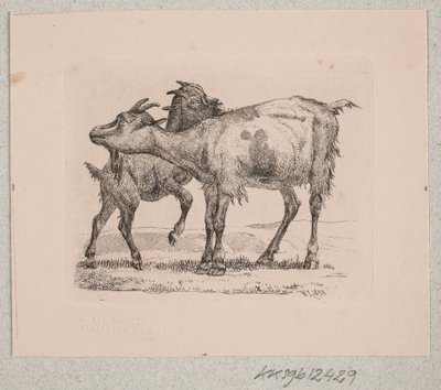 Koza z dzieckiem autorstwa Johannes Wilhelm Zillen