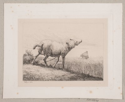 Becząca owca autorstwa Johannes Wilhelm Zillen