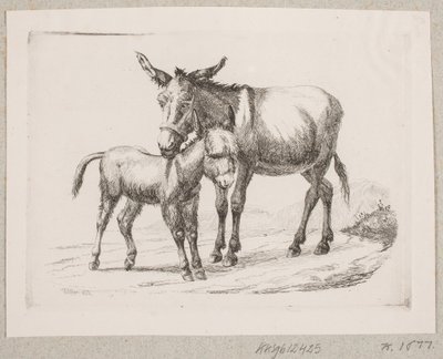Osioł ze swoim źrebakiem autorstwa Johannes Wilhelm Zillen