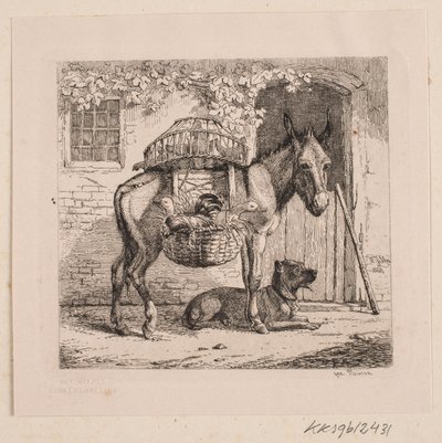 Osioł sprzedawcy kurczaka autorstwa Johannes Wilhelm Zillen
