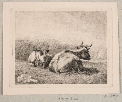 Dwie odpoczywające krowy autorstwa Johannes Wilhelm Zillen
