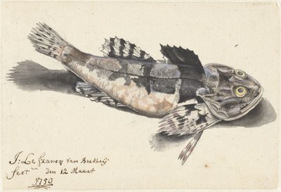 Droga podmorska autorstwa Johannes le Francq van Berkhey