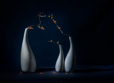 Eleganckie wazony z kwiatami autorstwa John-Mei Zhong