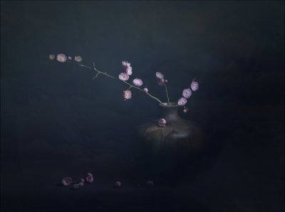 Martwa natura z kwiatami śliwy autorstwa John-Mei Zhong