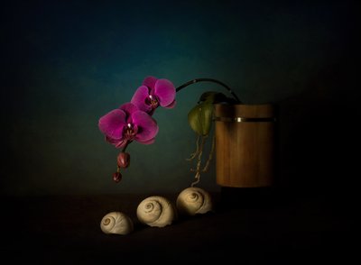 Martwa natura z fioletowymi orchideami autorstwa John-Mei Zhong