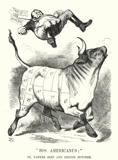 Karykatura ponczowa: Bos Americanus; czyli Yankee Beef and British Butcher – oczekiwane korzyści dla konsumentów z importu amerykańskiego mięsa (grawerowanie) autorstwa John (after) Tenniel