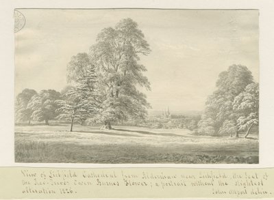 Katedra w Lichfield - Widok z Aldershaw (odległy): rysunek w sepii autorstwa John Allport