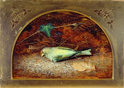 Martwa Linnet autorstwa John Atkinson Grimshaw