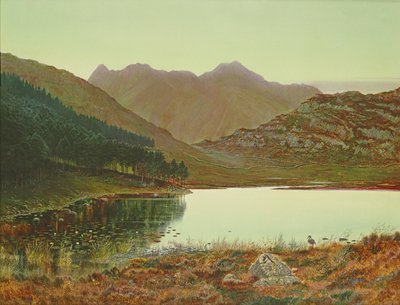 Blea Tarn autorstwa John Atkinson Grimshaw
