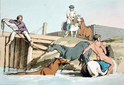 Konie w kąpieliskach, sztychowane przez artystę, wydane 1803 (kolor lito) autorstwa John Augustus Atkinson