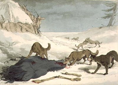 Polowanie na wilka, tablica 74 z tomu III „Maniery, obyczaje i zabawy Rosjan”, rytowana przez artystę, wyd. 1804 (akwatinta) autorstwa John Augustus Atkinson
