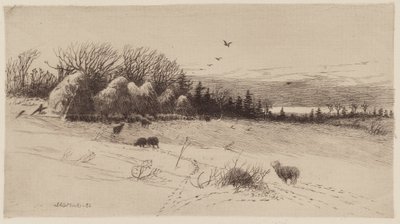Wieczór po burzy autorstwa John Austin Sands Monks
