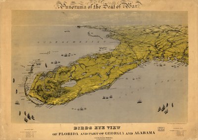 Widok z lotu ptaka na Florydę oraz część Georgii i Alabamy LOC 99447266 autorstwa John Bachmann