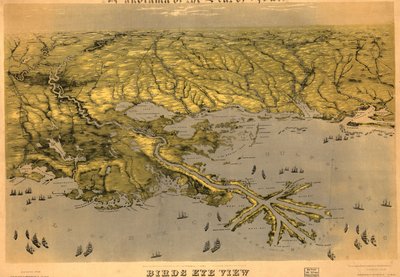 Widok z lotu ptaka na Luizjanę, Missisipi, Alabamę i część Florydy LOC 99447004 autorstwa John Bachmann