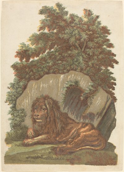 Lew autorstwa John Baptist Jackson