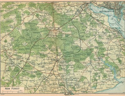 New Forest, XX wiek autorstwa John Bartholomew