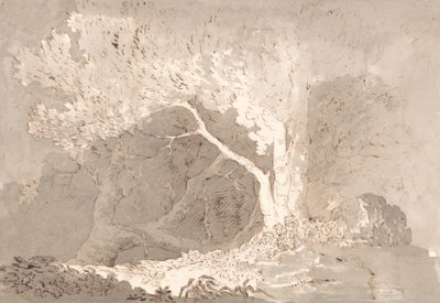 Studium drzewa autorstwa John Baverstock Knight