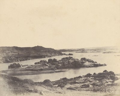 Słoniowaty. Pierwsza zaćma autorstwa John Beasly Greene